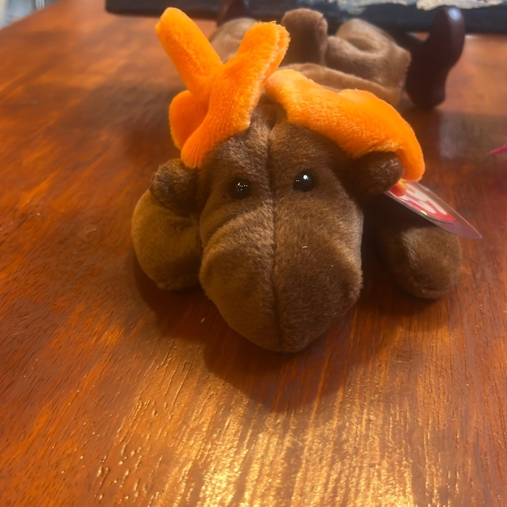 Original beanie baby, chocolate the moose